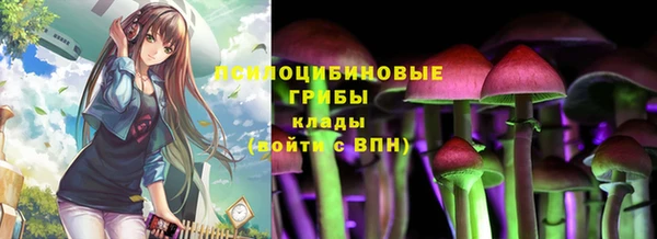 дмт Алзамай