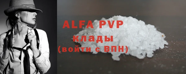 гидра Абаза