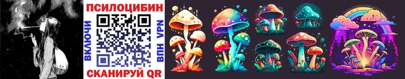 наркотики  Зеленогорск  Галлюциногенные грибы Psilocybine cubensis 