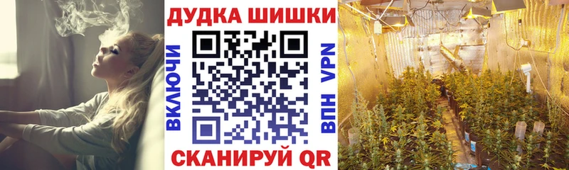 где купить наркоту Зеленогорск Конопля семена